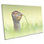 Cute Squirrel Smelling Flower Green CANVAS WALL ART Print Picture (H)51cm x (W)76cm
