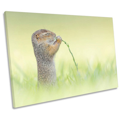 Cute Squirrel Smelling Flower Green CANVAS WALL ART Print Picture (H)61cm x (W)91cm