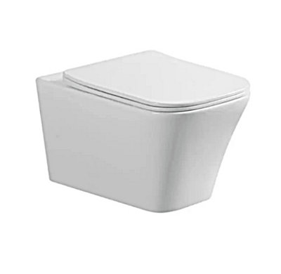 D Pro T Bathrooms Wall Hung Toilet Rimless DPT Pan, Seat