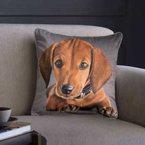 Dachshund Dog Print Square Cushion,Grey. 45x45cm