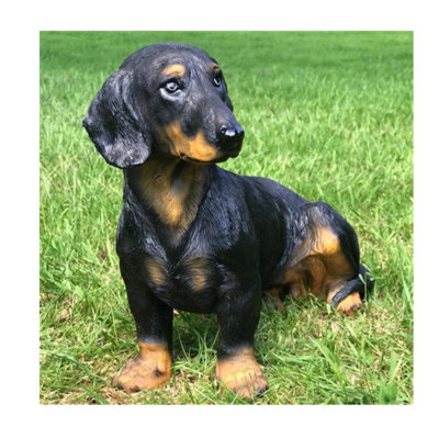 B&q sausage dog cheap