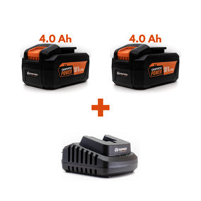 Daewoo U-FORCE 2 x 4.0Ah Battery (18V) + Charger Power Tool Accessories