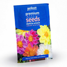 Dahlia Unwins Dwarf Mixed Flower Seeds (Approx. 55 seeds) by Jamieson Brothers