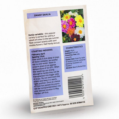 Dahlia Unwins Dwarf Mixed Flower Seeds (Approx. 55 seeds) by Jamieson Brothers - 4