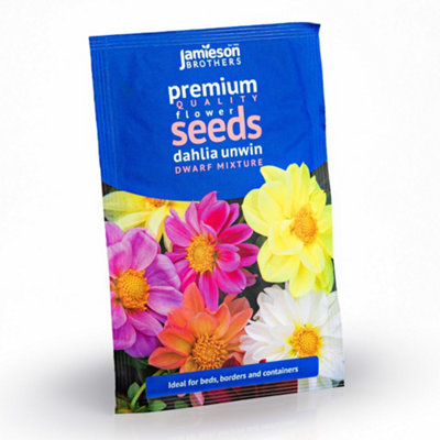 Dahlia Unwins Dwarf Mixed Flower Seeds (Approx. 55 seeds) by Jamieson Brothers - 6