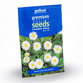 Daisy Meadow White Flower Seeds (Approx. 370 seeds) by Jamieson Brothers
