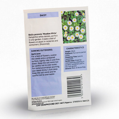 Daisy Meadow White Flower Seeds (Approx. 370 seeds) by Jamieson Brothers - 4