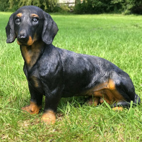 Daisy the Dachshund - a large heavy weight sitting Dachshund ornament, a great Sausage Dog lover gift, grave marker or memorial