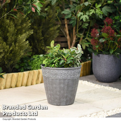 Damask Lead Effect Planter Outdoor Garden Patio Dark Grey 28cm (x2)