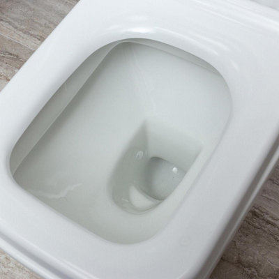 Danby Back to Wall Cermaic Toilet with Soft Close Seat, Quick Release Hinges & Anti Bacterial Glaze