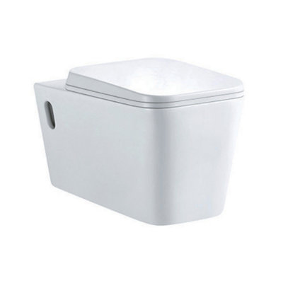 Danby Wall Hung Ceramic Toilet with Soft Close Seat, Quick Release Hinges & Anti Bacterial Glaze