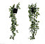 DANISCH Hanging Artificial Plants Black Set of 2 Indoor/Outdoor Decor Vines