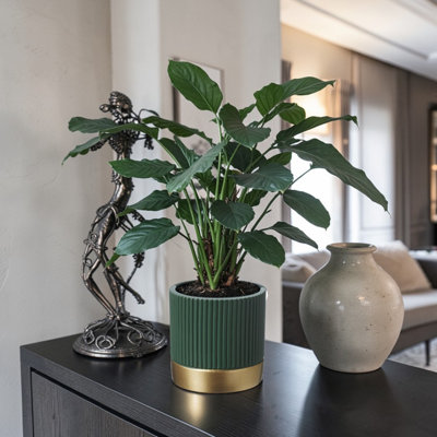 Dark Green Fluted Ceramic Indoor Plant Pot with Gold Base (H14 x Dia. 14cm)
