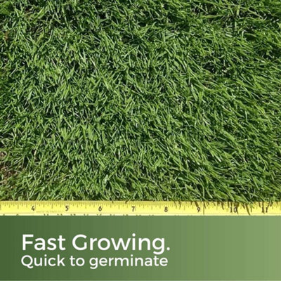 Dark Green Grass Seed - 10kg Lawn Seed (140-400m²)