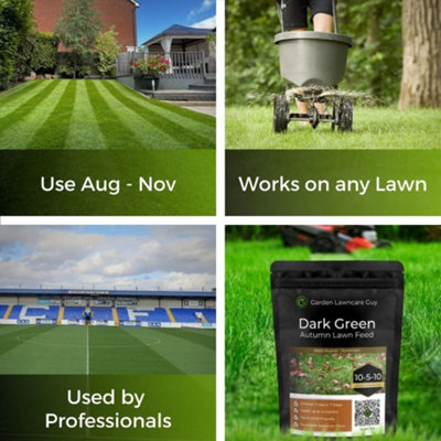 Winter lawn shop fertilizer