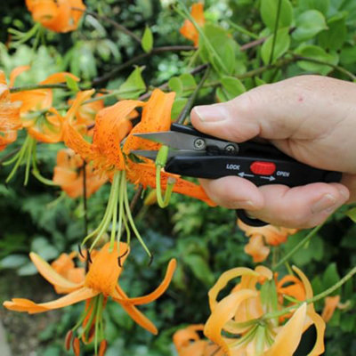 Darlac DP125 Deadheading Snips Pruners Secateurs Scissors Flower De ...