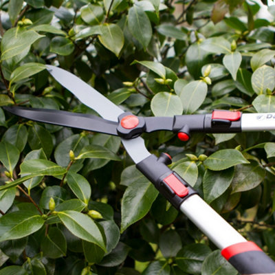 Darlac DP810 Telescopic Flip Lok Hedge Shears Garden Tree Pruner Lightweight