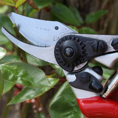 Darlac Expert Bypass Pruners Secateurs DP1030A Garden General Purpose 25mm Cut