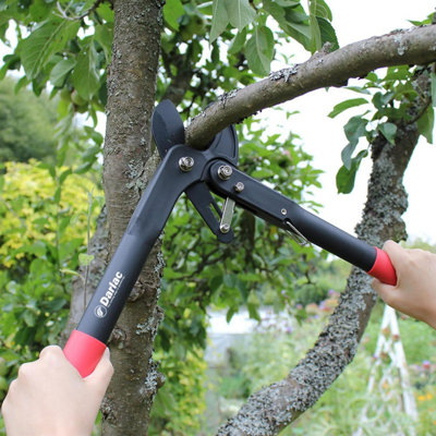 Darlac Handy Ratchet Anvil Lopper Garden Tree Pruner Cutter DP875 ...