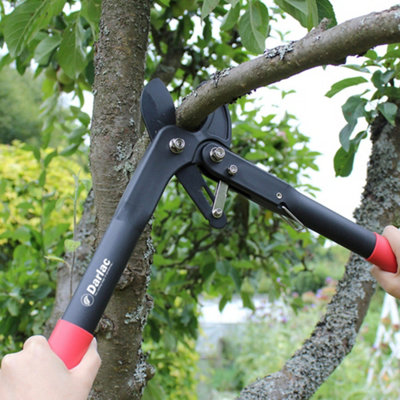 Darlac Handy Ratchet Anvil Lopper Garden Tree Pruner Cutter DP875 ...