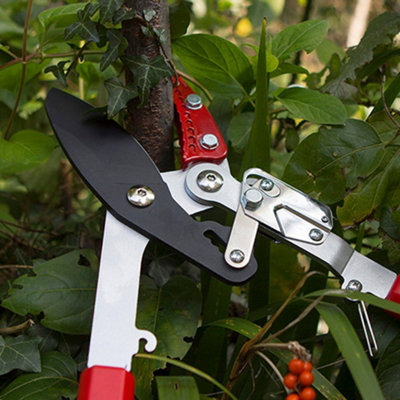 Heavy duty 2024 tree pruner