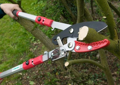 Telescopic ratchet 2024 tree loppers