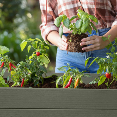 Darwin Elevated Garden Bed - Green