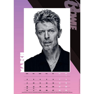 【超希少】David Bowie ヴィンテージカレンダー 16冊セット David Bowie 2026 A3 Wall Calendar Multicoloured (One Size)
