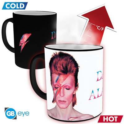 David Bowie Aladdin Sane Heat Change 320ml Ceramic Mug