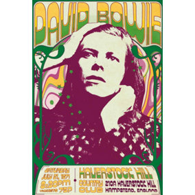 David Bowie Haverstock Hill 61 x 91.5cm Maxi Poster