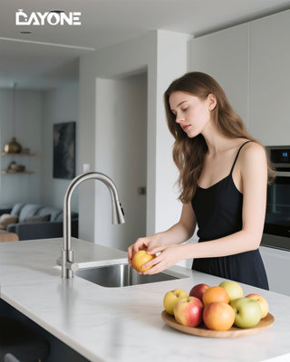 Dayone Brushed Stainless Steel Pull Out Kitchen Mixer Tap Dual Lever 360 Swivel 3 Mode Spray (G1/2)