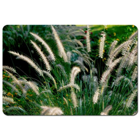decorative cat tail grass growing along a walkway (Placemat) / Default Title