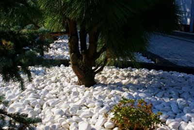 Decorative MARBLE EXTRA WHITE Stones  Pebbles  HOME & GARDEN  AQUARIUM 25kg