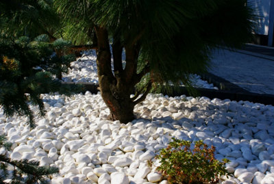 Decorative MARBLE EXTRA WHITE Stones  Pebbles  HOME & GARDEN  AQUARIUM 50kg