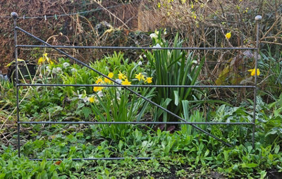 Decorative Metal Fence in a Grey Rustic Metal