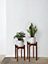 Decorotika Floret Handmade Solid Wood Plant Stand  (65 cm)