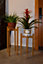 Decorotika Floret Handmade Solid Wood Plant Stand Set - Light Colour