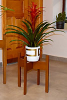 Decorotika Florny Handmade Solid Wood Plant Stand (40 cm)