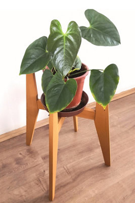 Decorotika Pollny Handmade Solid Wood Plant Stand