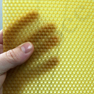Deep Brood Wired Wax Foundation Sheets for National Beehives - 4