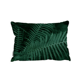 Deep Green Fern Leaves Texture. Fern In The Forest. Plants Background. Biophilia Trend (Cushion) / 30cm x 45cm