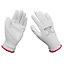 Dekton 12 Pack Decorators Pu Coated Gloves, Size 9/L  Cat11, En388