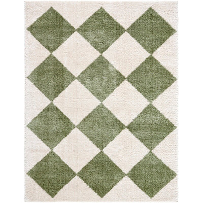 DELINE Machine Washable Modern Shaggy Grass Green Area Rug 120 x 170 cm