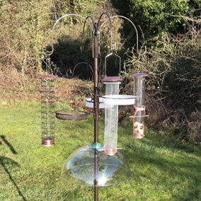 Deluxe Bird Feeder Station With Four Feeders And Squirrel Baffle