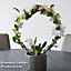 Dendrobium nobile White Arch 12cm Potted Plant x 1 + 20 LEDS