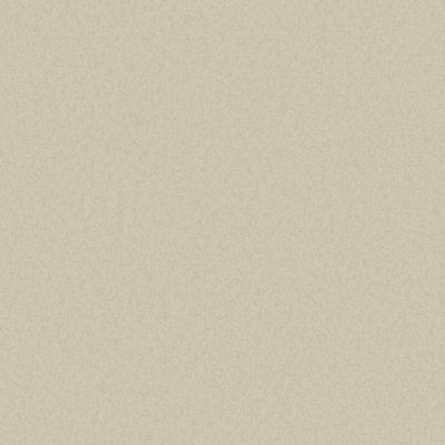 Designer Colours Beige Even Texture Wallpaper