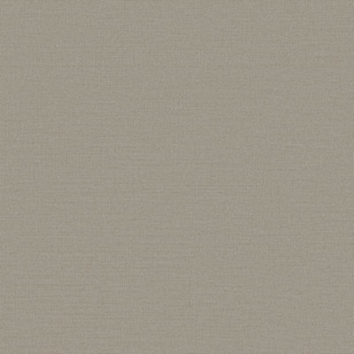 Designer Colours Beige Fine Lines Texture Wallpaper