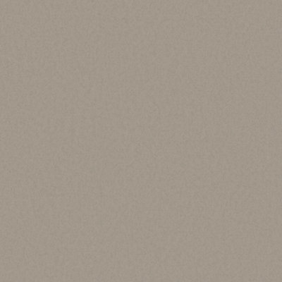 Designer Colours Beige Raised Texture Wallpaper