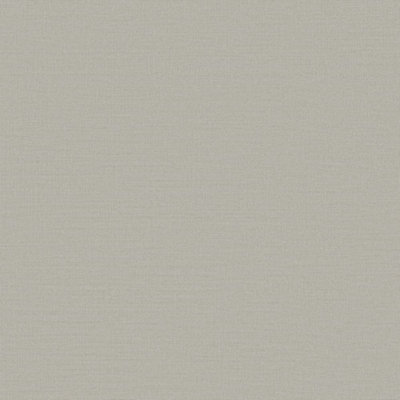 Designer Colours Grey Fine Lines Texture Wallpaper