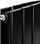 Designer Flat Panel Double Radiator 1600x272 Black by MCC